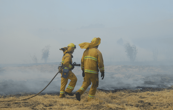 Incendios Forestales. Cómo ayudar.